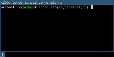 Single terminal